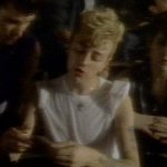 Stray Cats Videos